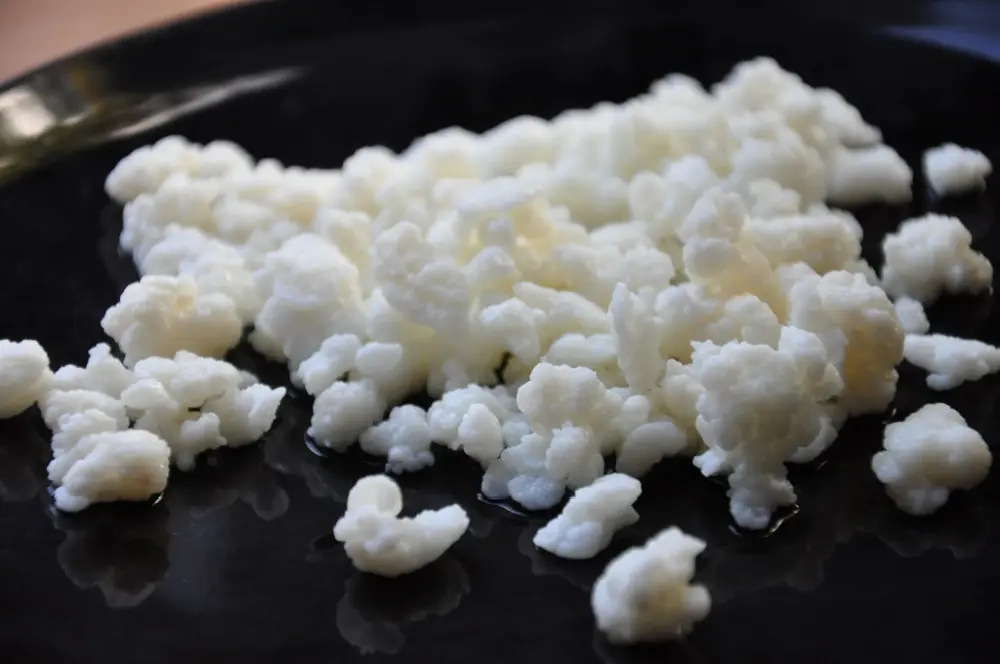 Defumação e kefir são os ingredientes da vez nas cozinhas de renomados chefs