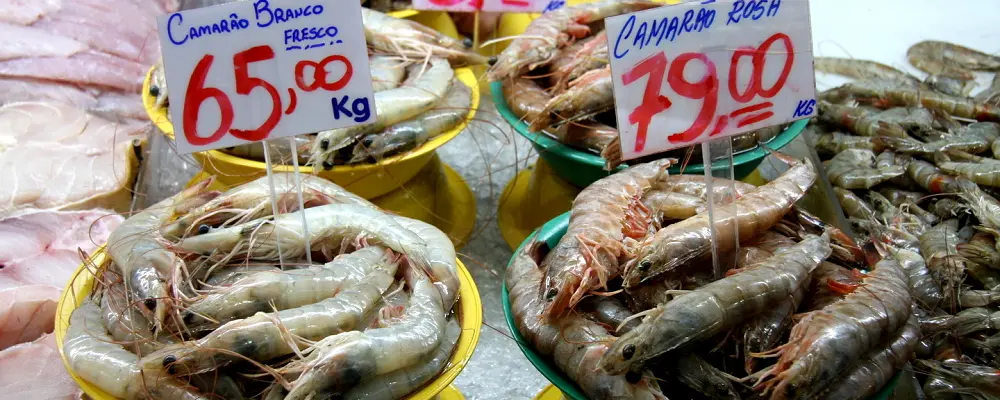 Camarão consumido em Santa Catarina tem sotaque nordestino