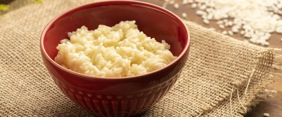 Arroz de risoto: saiba quais são e quais as diferenças entre eles