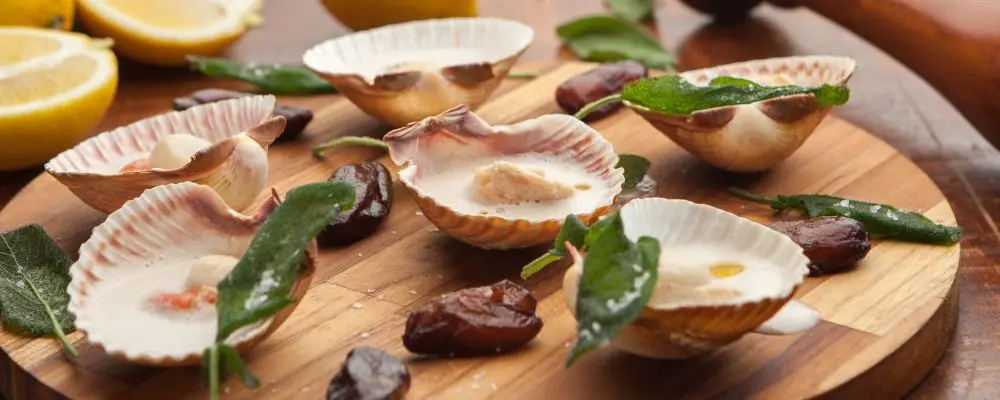 2 receitas e dicas para preparar vieira, a prima nobre da ostra