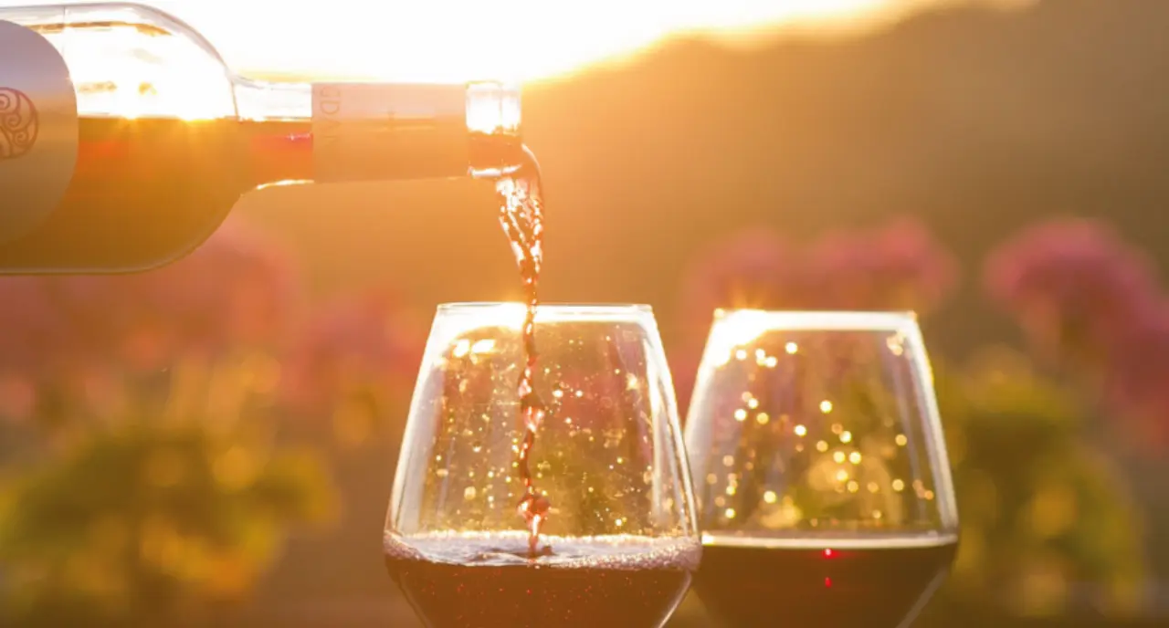 Evento em Curitiba tem mais de 100 vinhos portugueses para degustação