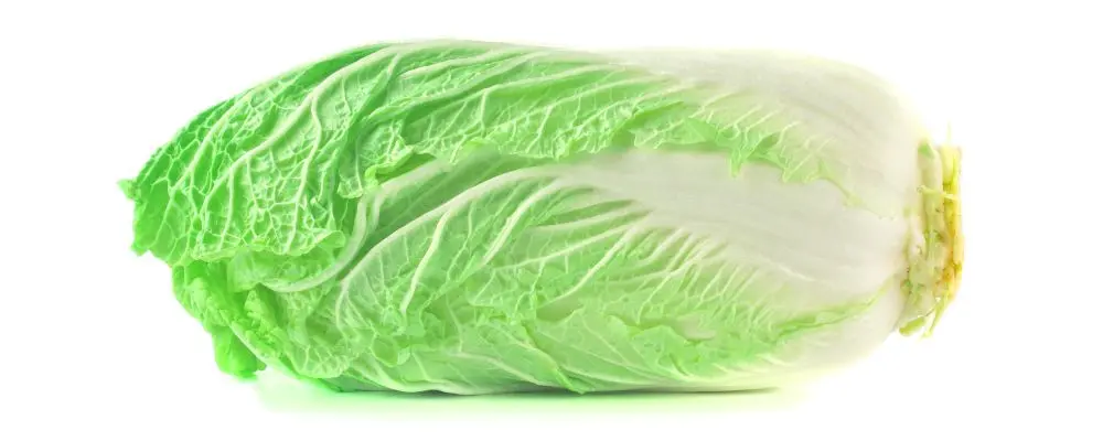 Acelga além da salada: saiba como transformar o vegetal em prato principal