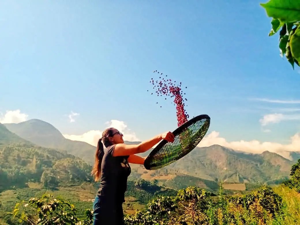 Produtora de Minas Gerais vence edição de 2020 do Concurso Nacional de Qualidade do Café