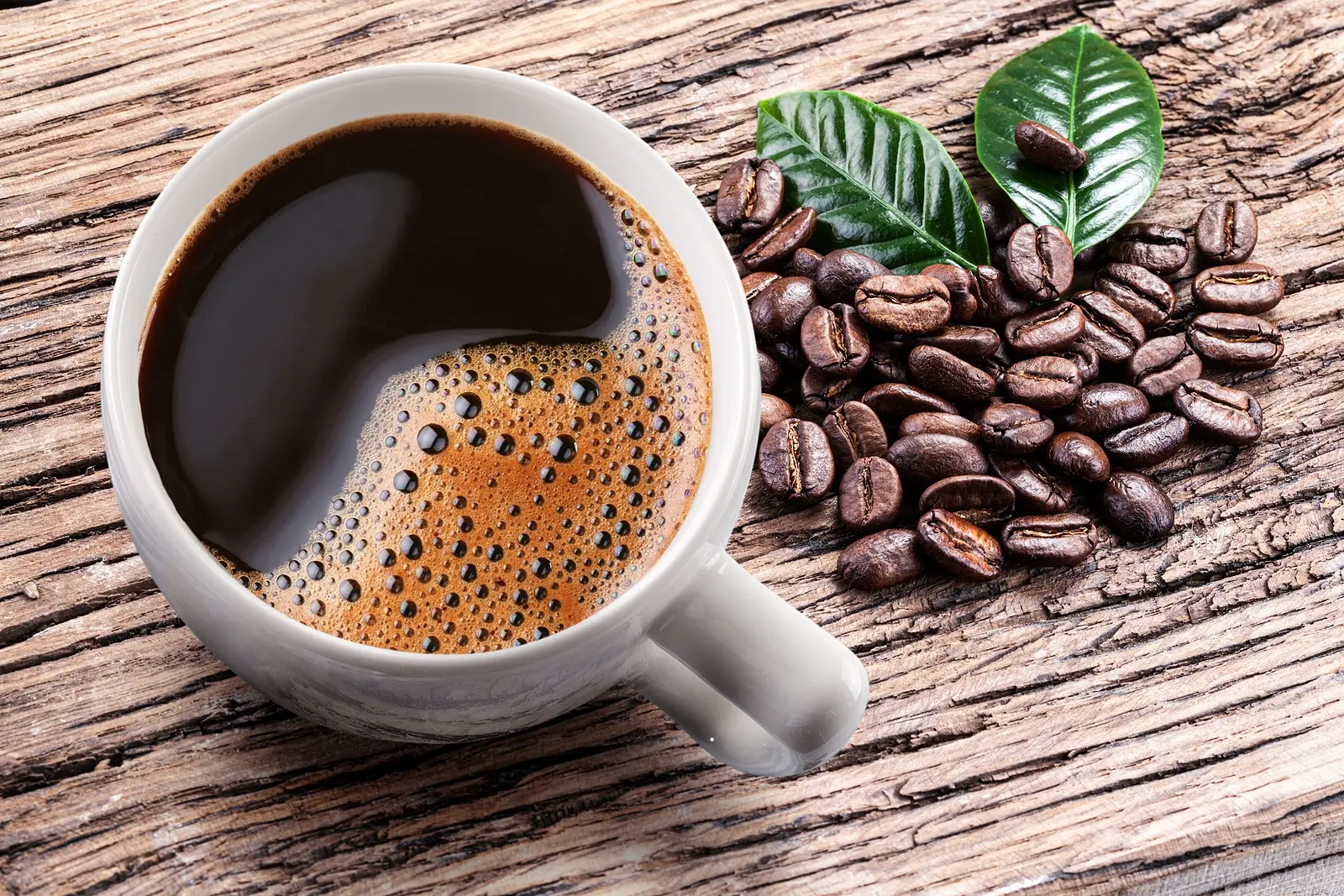 De colheita à água especial: saiba mais sobre os novos projetos do premiado barista Leo Moço