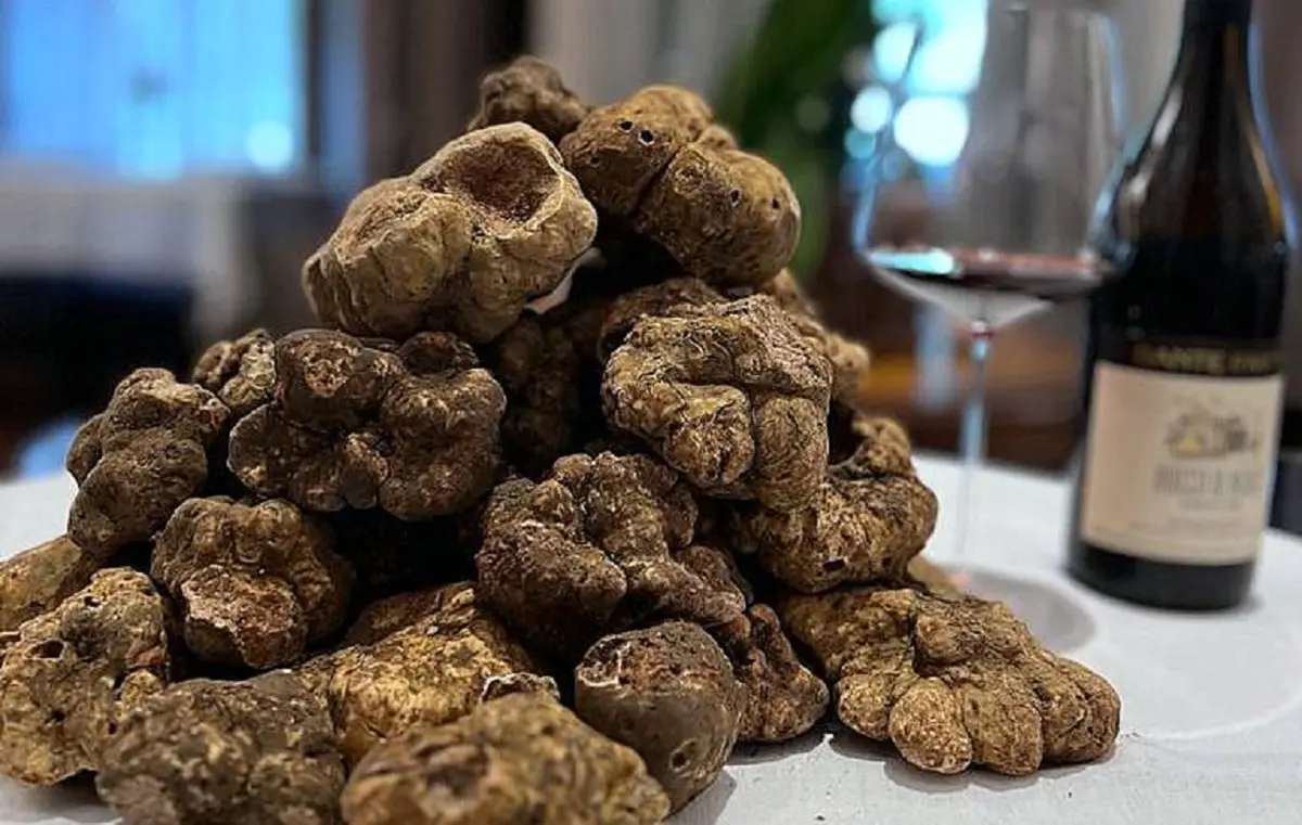 Começa o Festival del Tartufo Bianco d’Alba do Durski. O mais aguardado