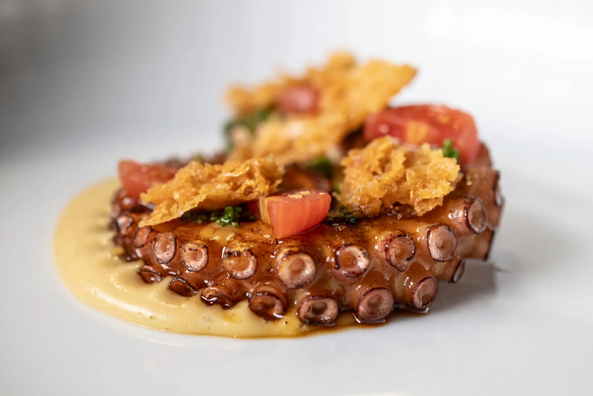 Última chance de provar o Menu Degustação "Profundidades", do chef Danilo Takigawa