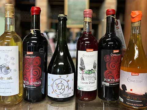 Vinum Terra: os vinhos naturais do Rio Grande do Sul