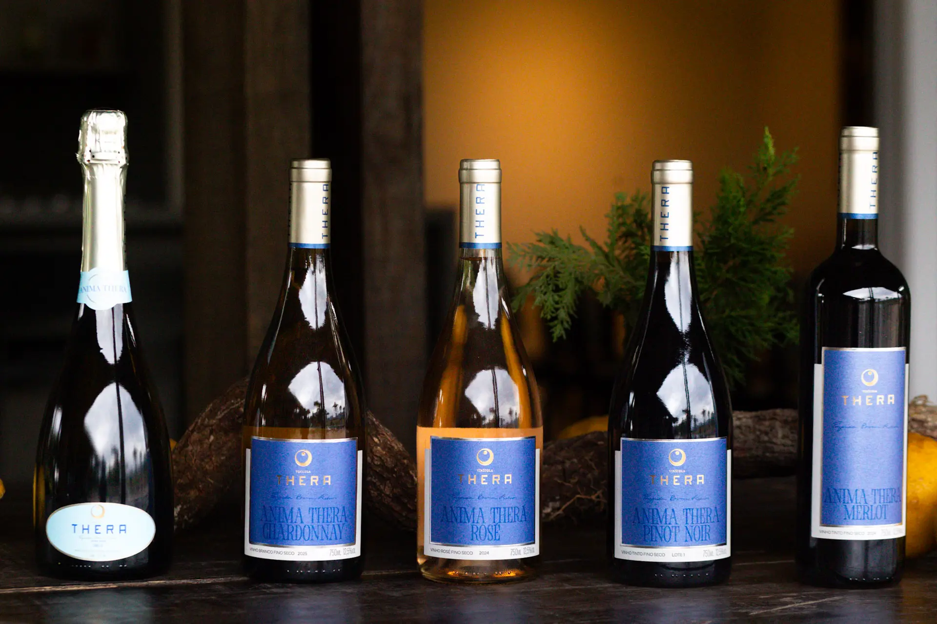 Trapiche anuncia Feijoada do Mar, harmonizada com melhor vinho rosé do Brasil