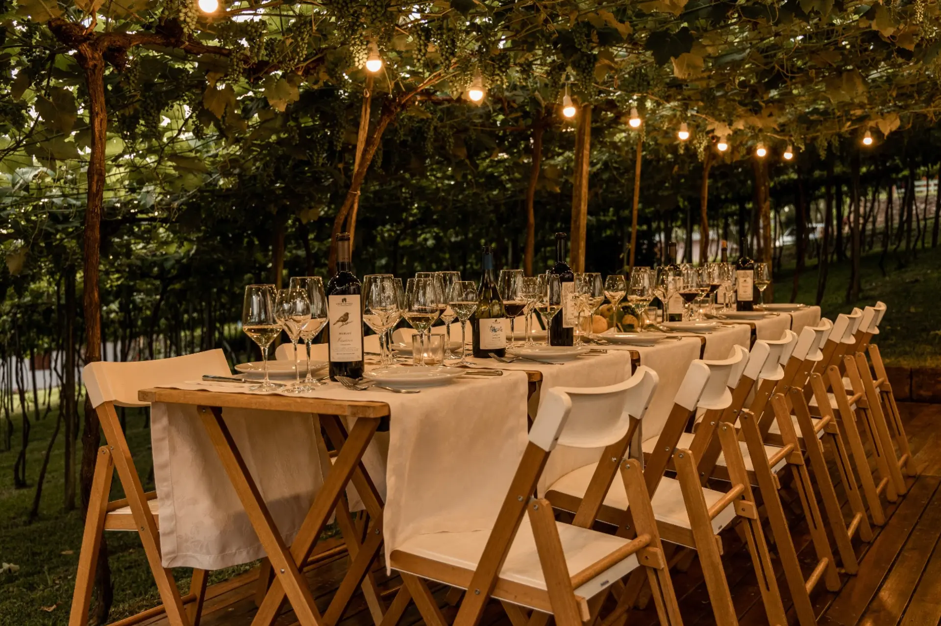 Réveillon 2026 une gastronomia, vinho e música entre vinhedos na Serra Gaúcha