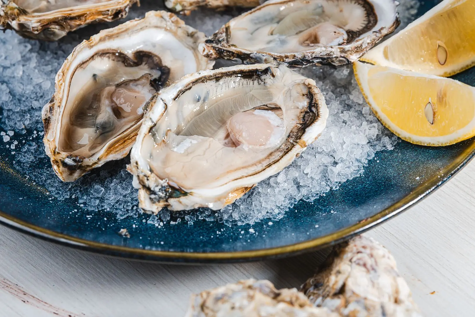 Terça das Ostras, a novidade do Nacional Bar e Mar