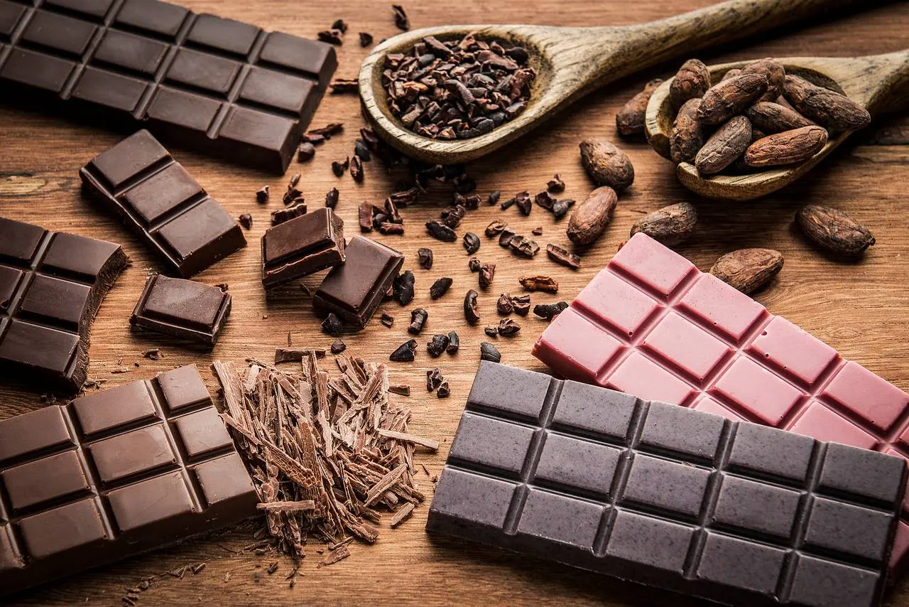 Bean to Bar e Tree to Bar: as tendências da produção de chocolate de qualidade