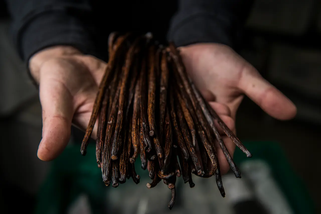 Loja oferece temperos e condimentos garimpados a dedo em mais de 70 países