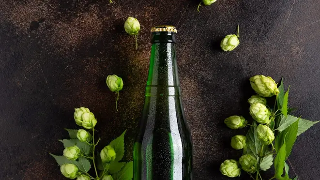 As garrafas de cerveja verdes eram mais comuns até os anos 1930. Foto: Bigstock