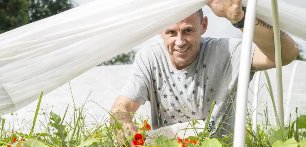 Flores comestíveis são aposta de produtor orgânico