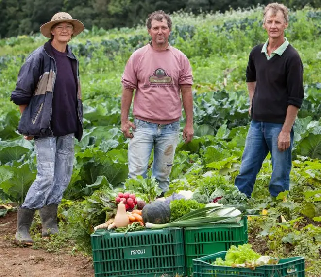 Genovefa Haiduke, seu marido Joanim Belloti e o irmão Silvestre Haiduke: o trio produz orgânicos em Campo Largo e escoa parte de sua produção em duas feiras em Curitiba. Foto: Fernando Zequinão/Gazeta do Povo