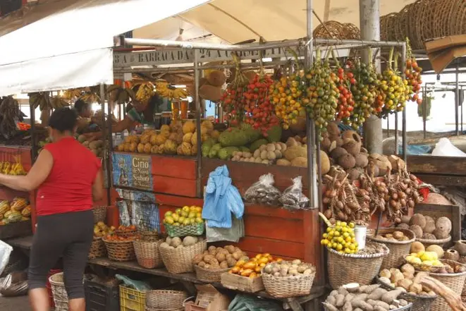Frutas da Amazônia, ervas medicinais e castanhas.Foto: Tássia Barros/Divulgação