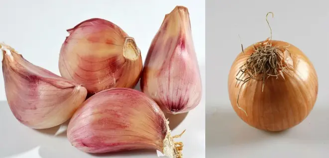 Alho e cebola são os principais ingredientes em várias culturas.