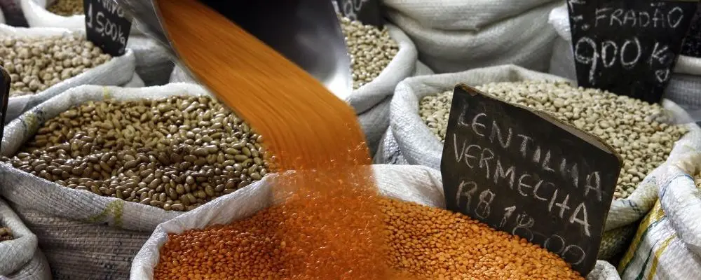 Conheça a lentilha que cozinha em até 10 minutos