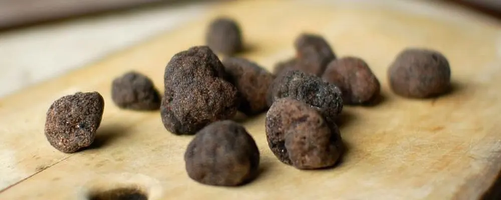 Restaurante lança menu completo com trufas negras e brancas a R$ 67,90