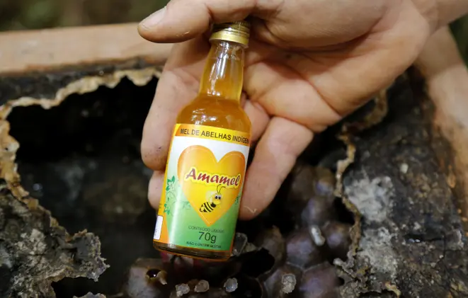Mel produzido em Mandirituba com abelhas sem ferrão. Foto: Pedro Serapio/Gazeta do Povo