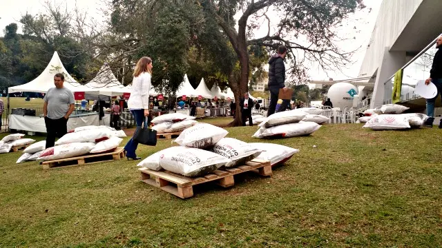 O evento tem mais de 200 rótulos de cervejas artesanais e muitos opções de gastronomia. O espaço junto ao gramado do MON convida a relaxar e aproveitar a festa.