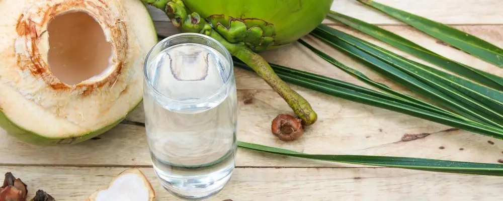 Teste identifica irregularidades em seis marcas de água de coco