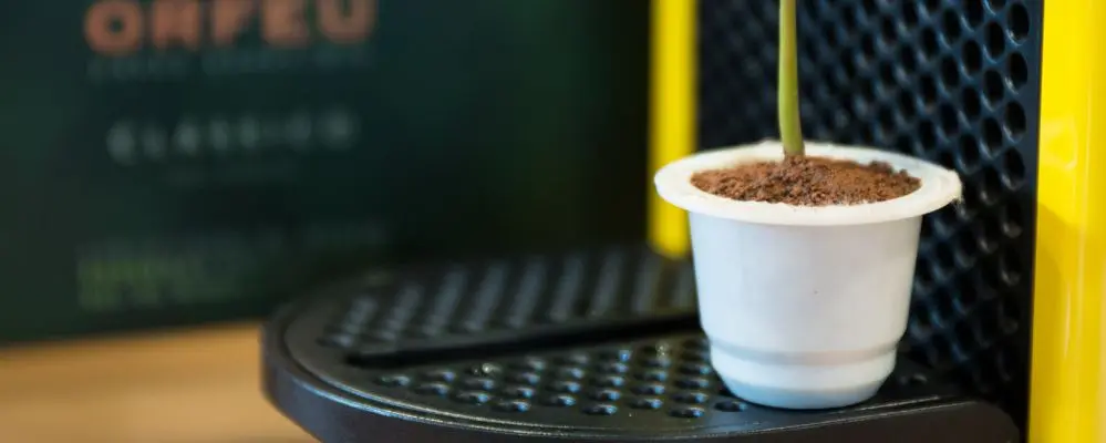 Empresa cria cápsula biodegradável de café que vira adubo em quatro meses
