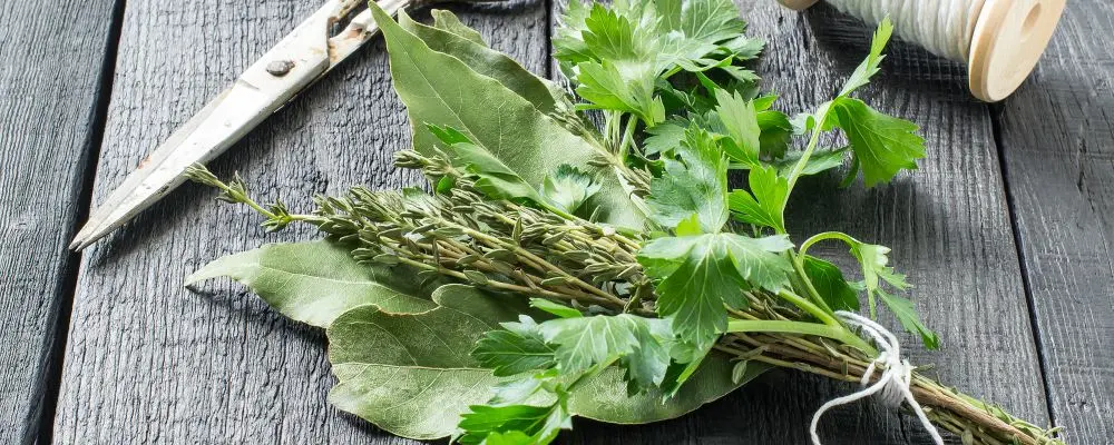 Infusão de aromas: aprenda variações do bouquet garni
