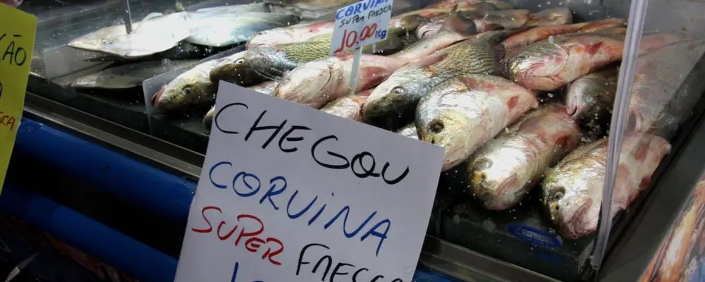 Está em Santa Catarina? Tem peixe fresco a partir de R$ 4 o quilo neste verão