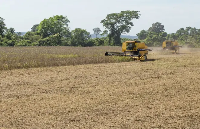 Um dos temas discutidos será o aumento da produção de alimentos para sustentar a crescente população mundial. Foto: Hugo Harada/Gazeta do Povo