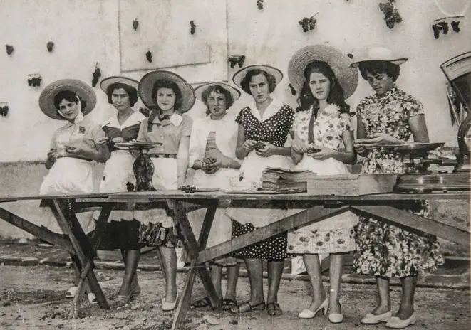 As filhas de imigrantes participando da primeira edição da Festa da Uva, quando ainda era uma quermesse no pátio da Paróquia. Foto: Letícia Akemi/Gazeta do Povo