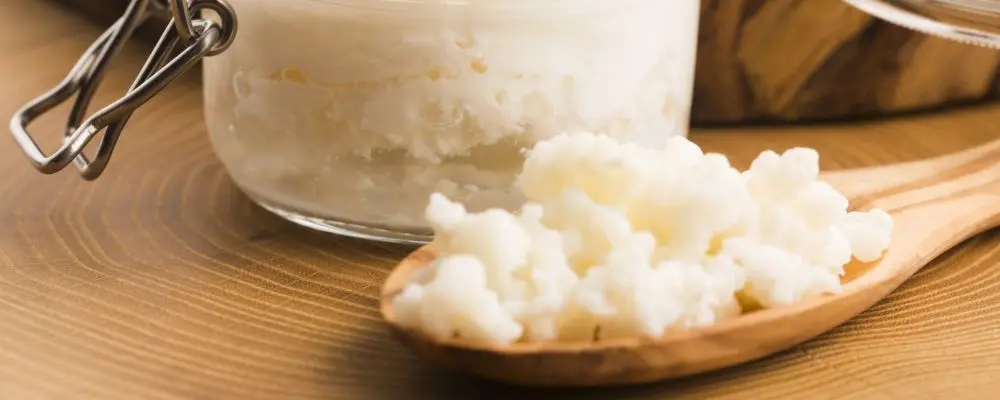 Kefir, o probiótico da moda, chega à gastronomia de restaurante