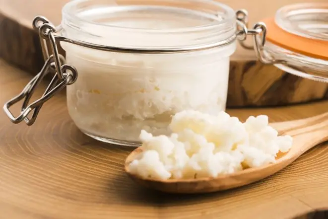 Kefir de leite, uma colônia de microrganismos (à frente) em formato de grânulos irregulares. A colônia se alimenta da lactose e fermenta o leite, que fica mais próximo de uma coalhada (ao fundo). Foto: Bigstock