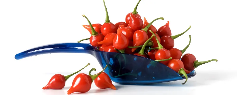 Quem come mais pimenta? Restaurante promove competição com três categorias