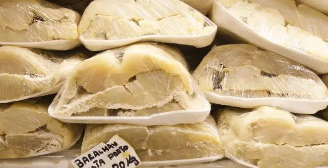 Bacalhau morhua, ou do Porto, costuma ser o mais caro. Foto: Hugo Harada/Gazeta do Povo