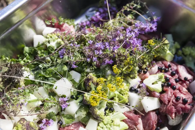 Cordeiro decorado com vegetais e ervas recém colhidas, pronto para cozinhar em um forno geotermal comunitário em Reykholt, na Islância. Foto: Bara Kristinsdottir/The New York Times.
