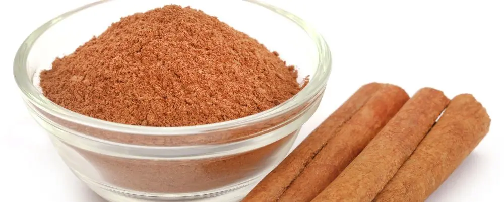 Canela em pó com pelo de rato e pedaços de insetos é proibida pela Anvisa