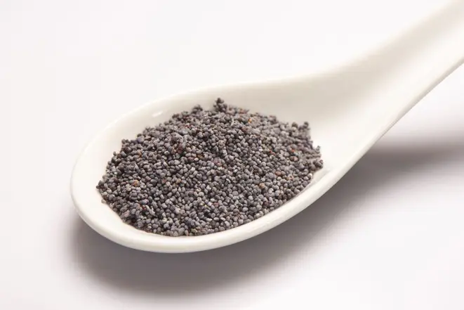 Pile of poppy seeds in white ceramic spoon on white background