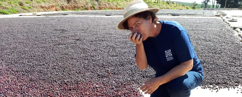 Cafeterias, baristas e produtores se unem para deixar o café brasileiro ainda mais gostoso