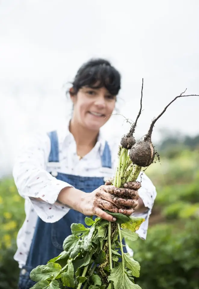 Manui Buffara mostra o rabanete negro: cultivo do produto está sendo testado na horta. Foto: Letícia Akemi/ Gazeta do Povo