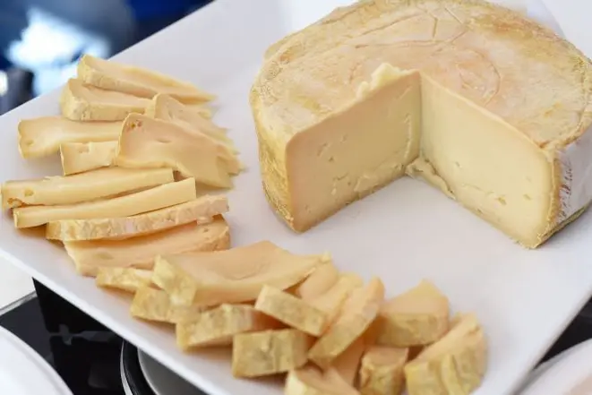 O queijo artesanal Bello é inspirado nos queijos franceses de casca lavada. A textura é amanteigada e com aspecto cremoso. Foto: Paulo Filho/Divulgação