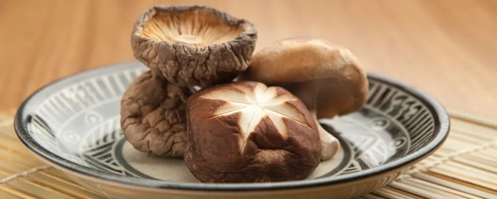 Fresco ou seco, shiitake é essencial na cozinha japonesa: veja como usar