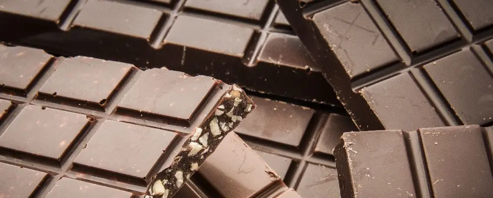 6 chocolates brasileiros são premiados em festival internacional nos EUA