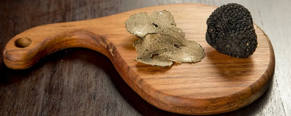 Trufas negras correm risco de extinção até o fim deste século