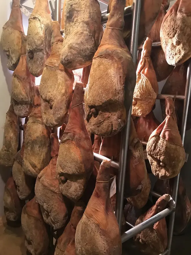 Foto: Arquivo Pessoal / Yaguara Ecológico
