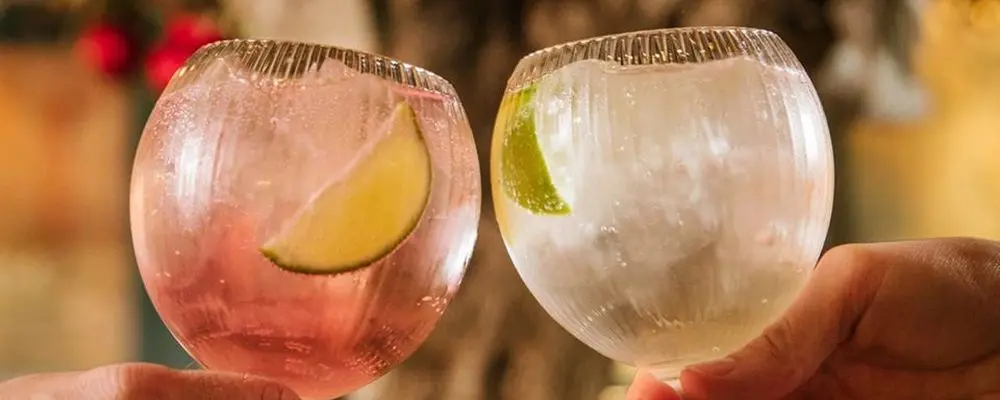 Vinícola cria gim feito com uvas pinot noir e especiarias