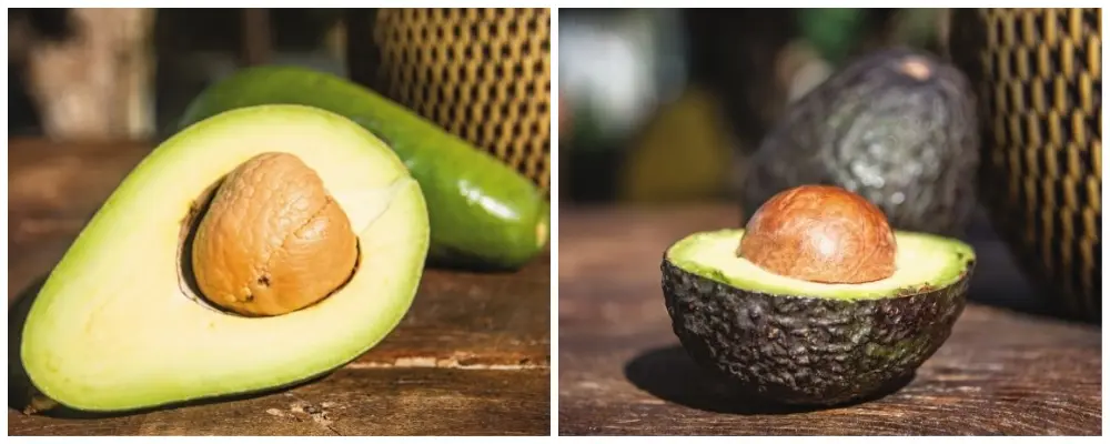 Abacate ou avocado? Entenda a diferença e quando usar cada um