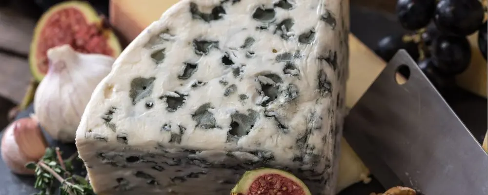 Roquefort e gorgonzola: entenda as diferenças e semelhanças entre os queijos