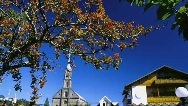 O candidato escolhido passará uma semana experimentando os sabores de Gramado e Canela para depois postar nas redes sociais. Foto: Prefeitura de Gramado/divulgação.