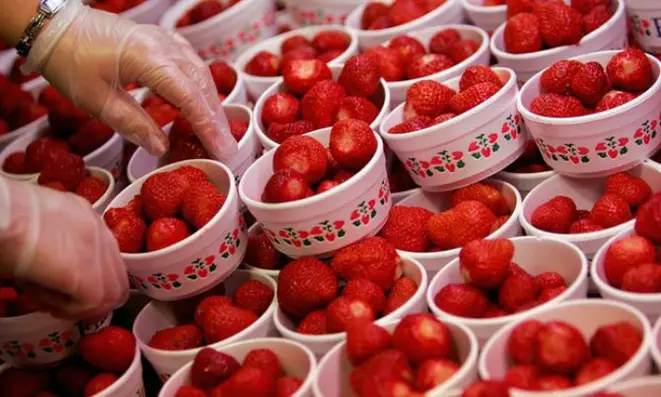 Todo ano, 28 toneladas de morangos são servidas no torneio. Foto: Getty Images.